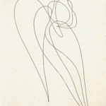 A-17 まだ濡れている翼